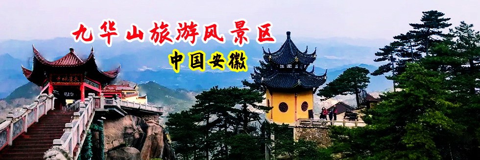 男jj插女bb污污片